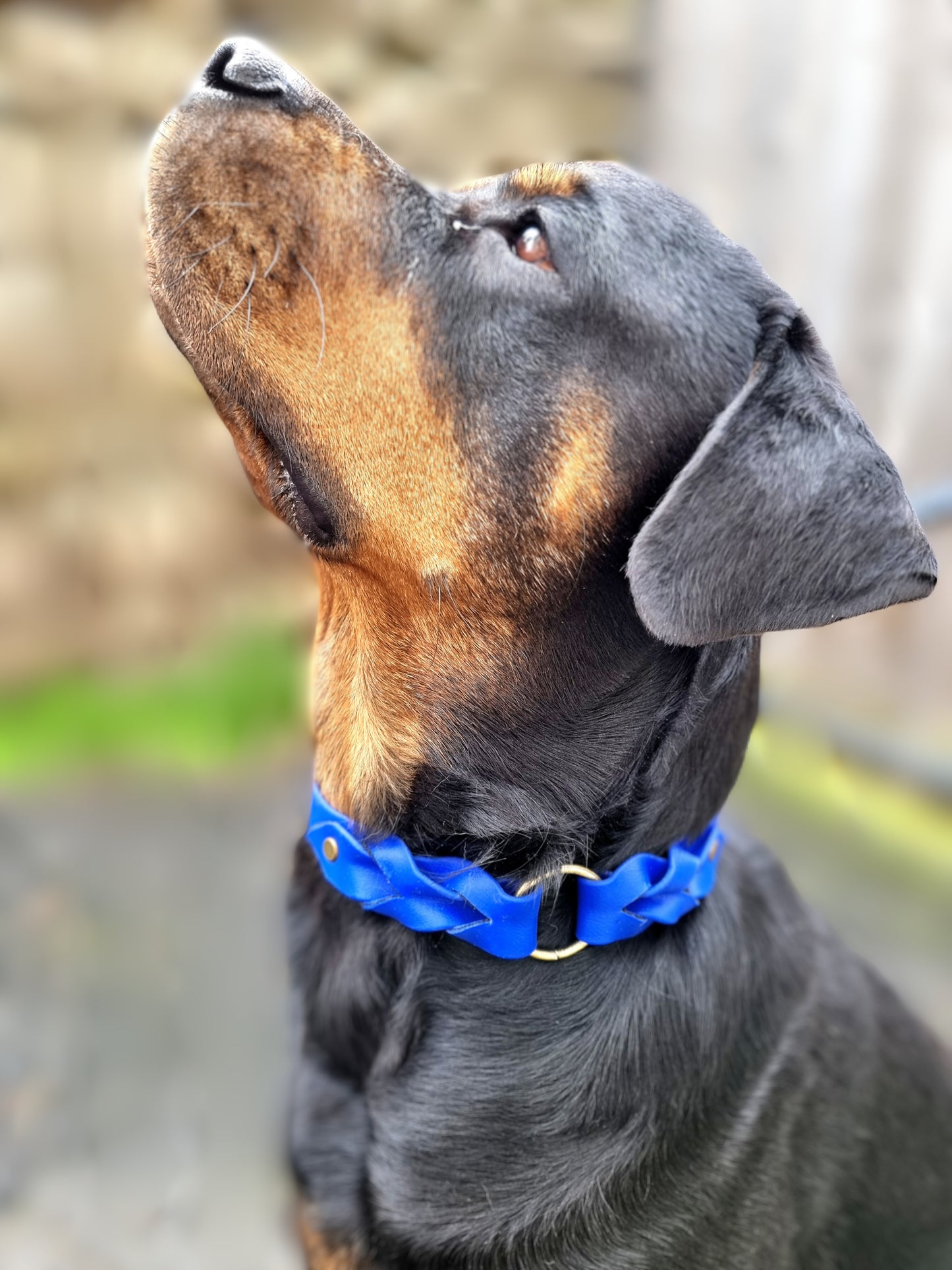 Collier personnalisable en BioThane®. Le tressé.