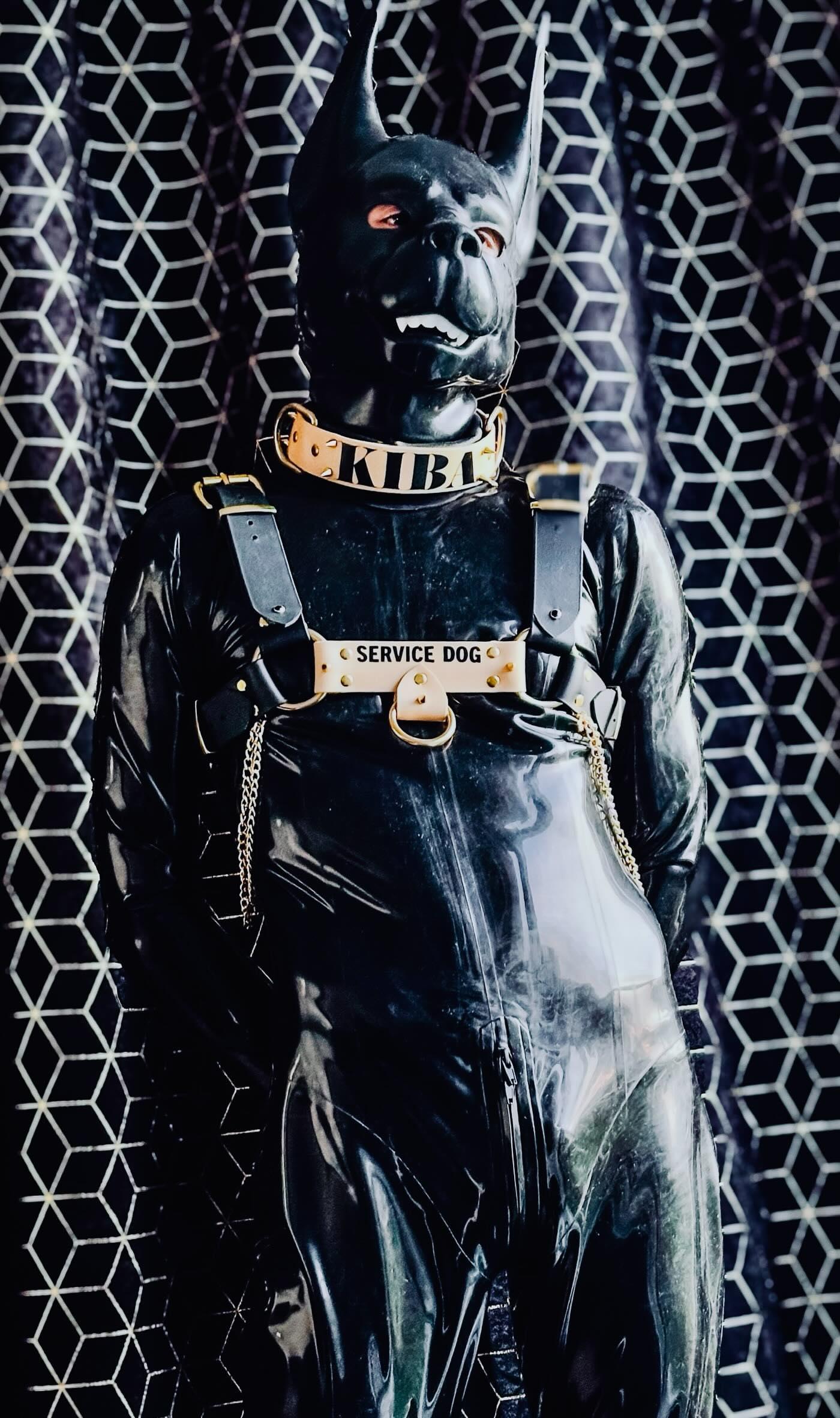 Les petits plus 😏