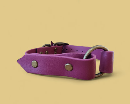 Collier personnalisable en BioThane®. Le charmeur.