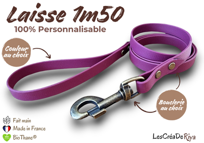 Laisse 1,5 m , en BioThane®, personnalisable.