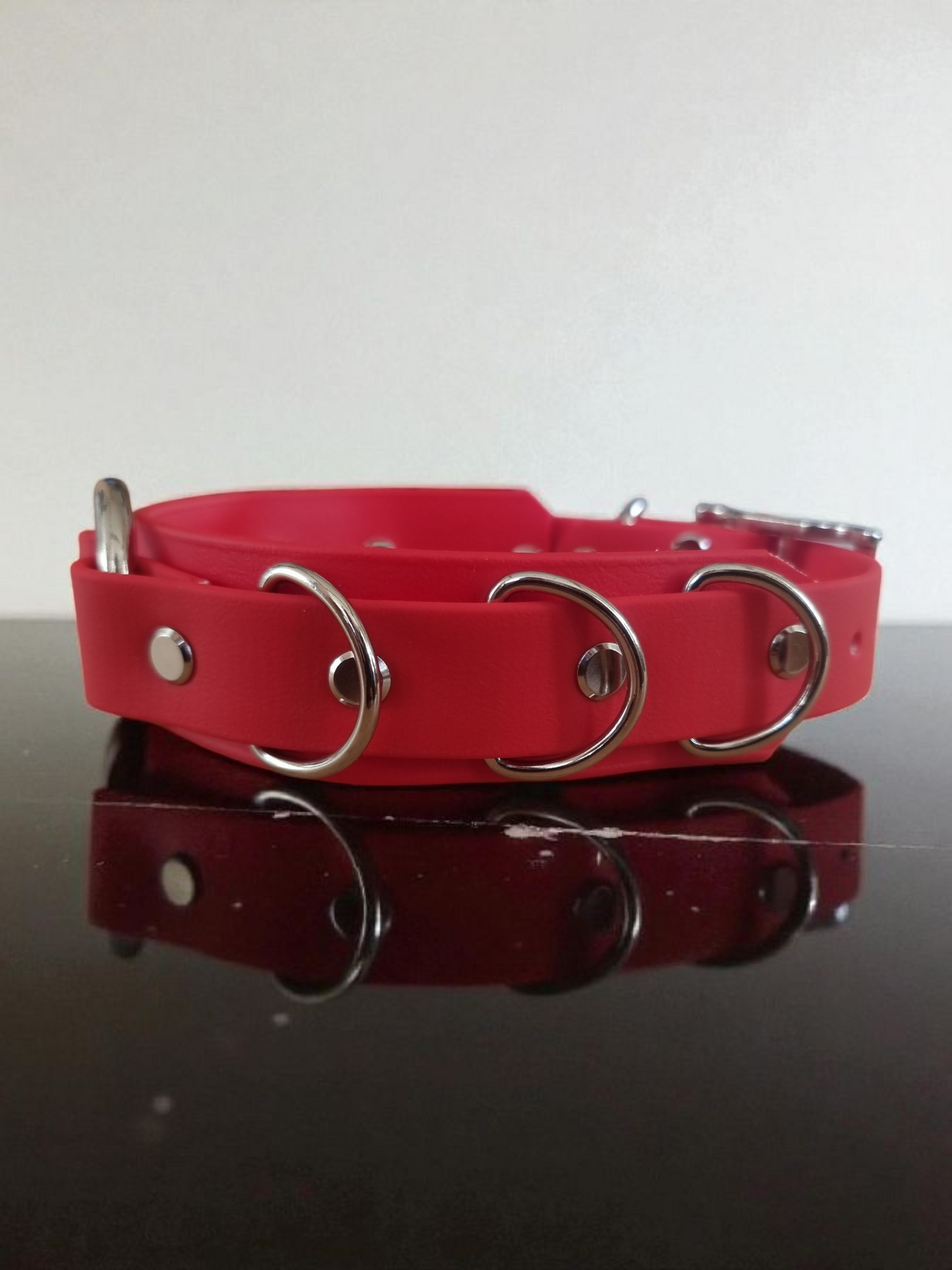 Astraia - Collier personnalisable en BioThane®.