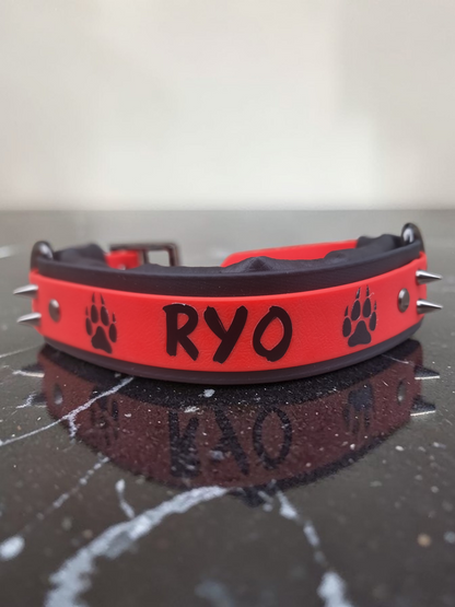 Hécate - Collier personnalisable en Biothane.