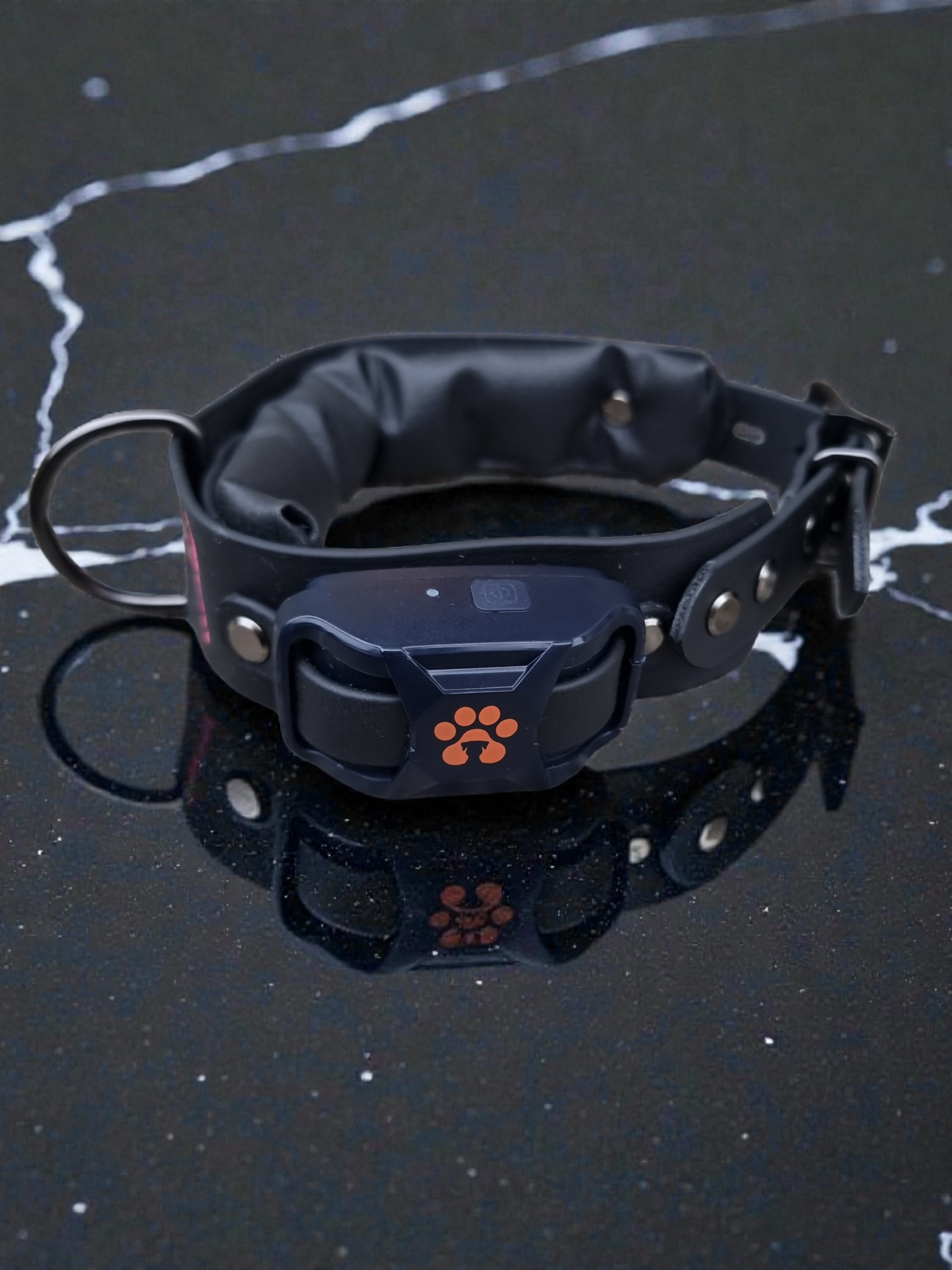 Collier Électrique - Rafnir.