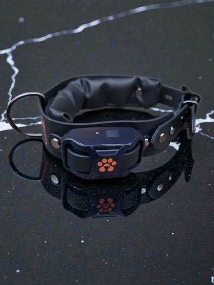 Collier Électrique - Rafnir.