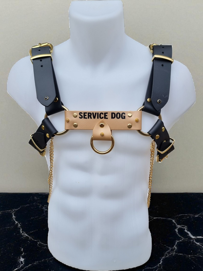 Le "Pup Harness" - Harnais
