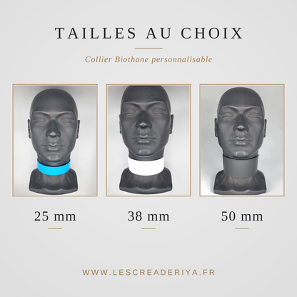 The Docile - Customizable BioThane® collar.