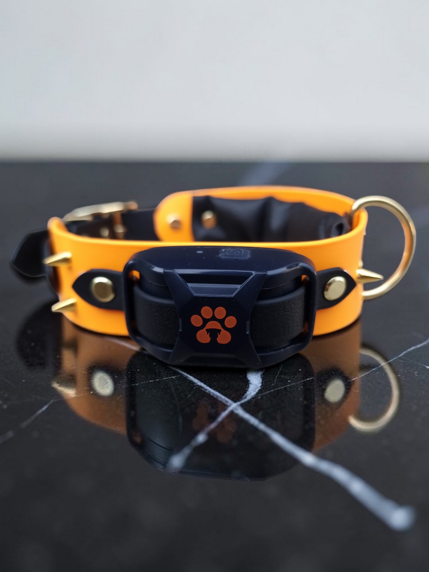 Collier Électrique - Rafnir.