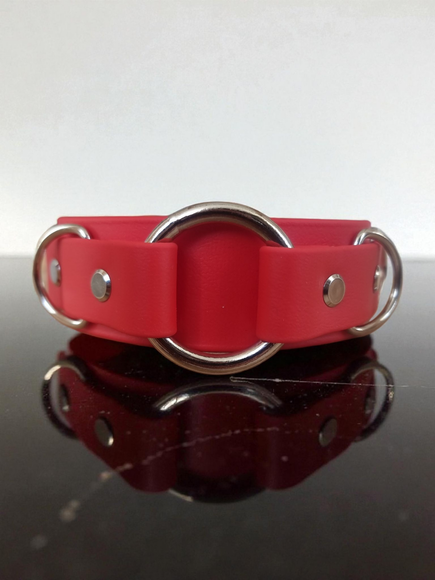 Astraia - Collier personnalisable en BioThane®.