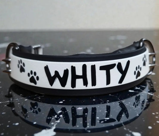 Hécate - Collier personnalisable en Biothane.