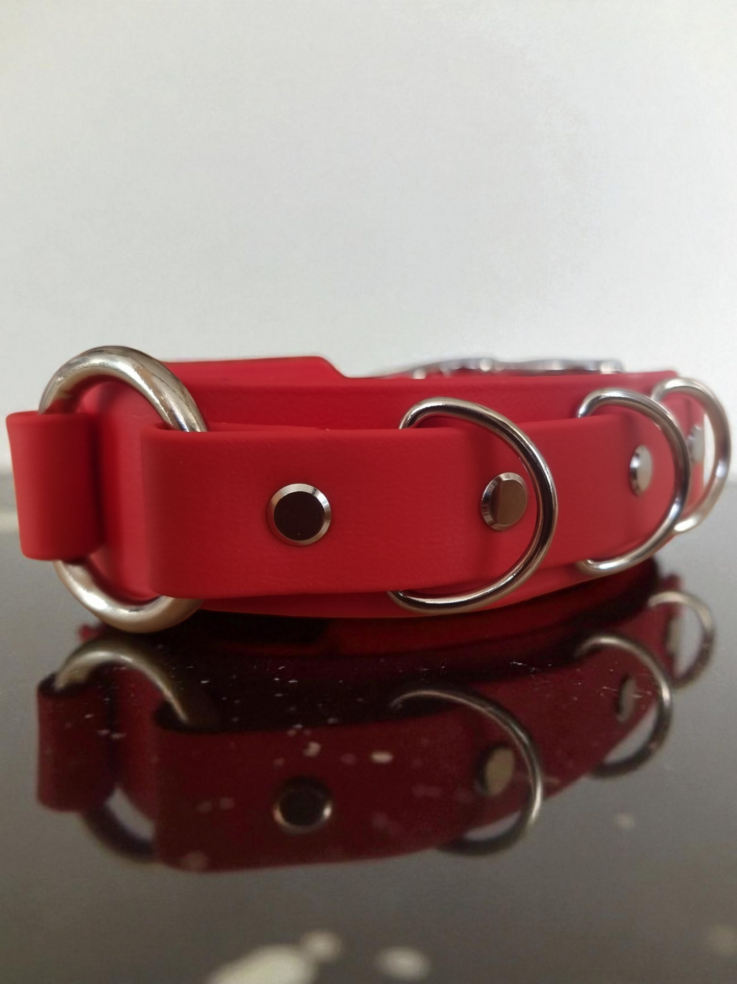 Astraia - Collier personnalisable en BioThane®.