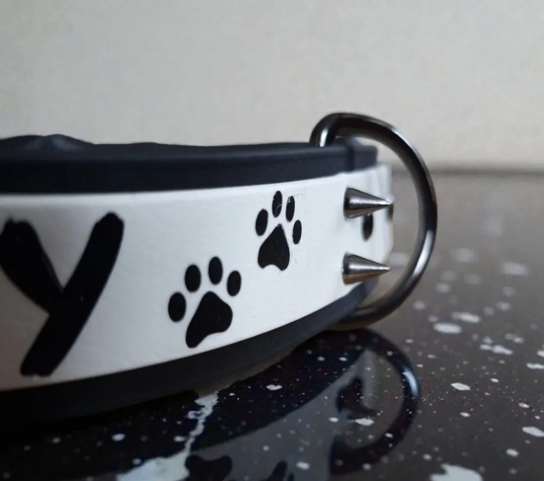 Hécate - Collier personnalisable en Biothane.